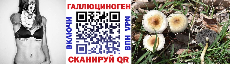 наркотики  Череповец  гидра рабочий сайт  Псилоцибиновые грибы Psilocybine cubensis 