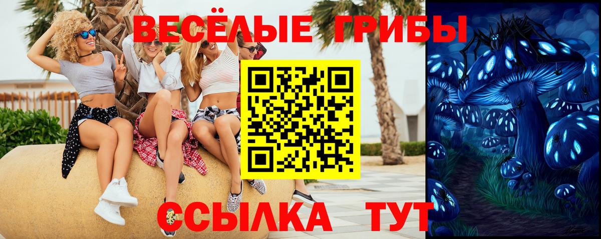 Череповец  Псилоцибиновые грибы мицелий  Вход с VPN 
